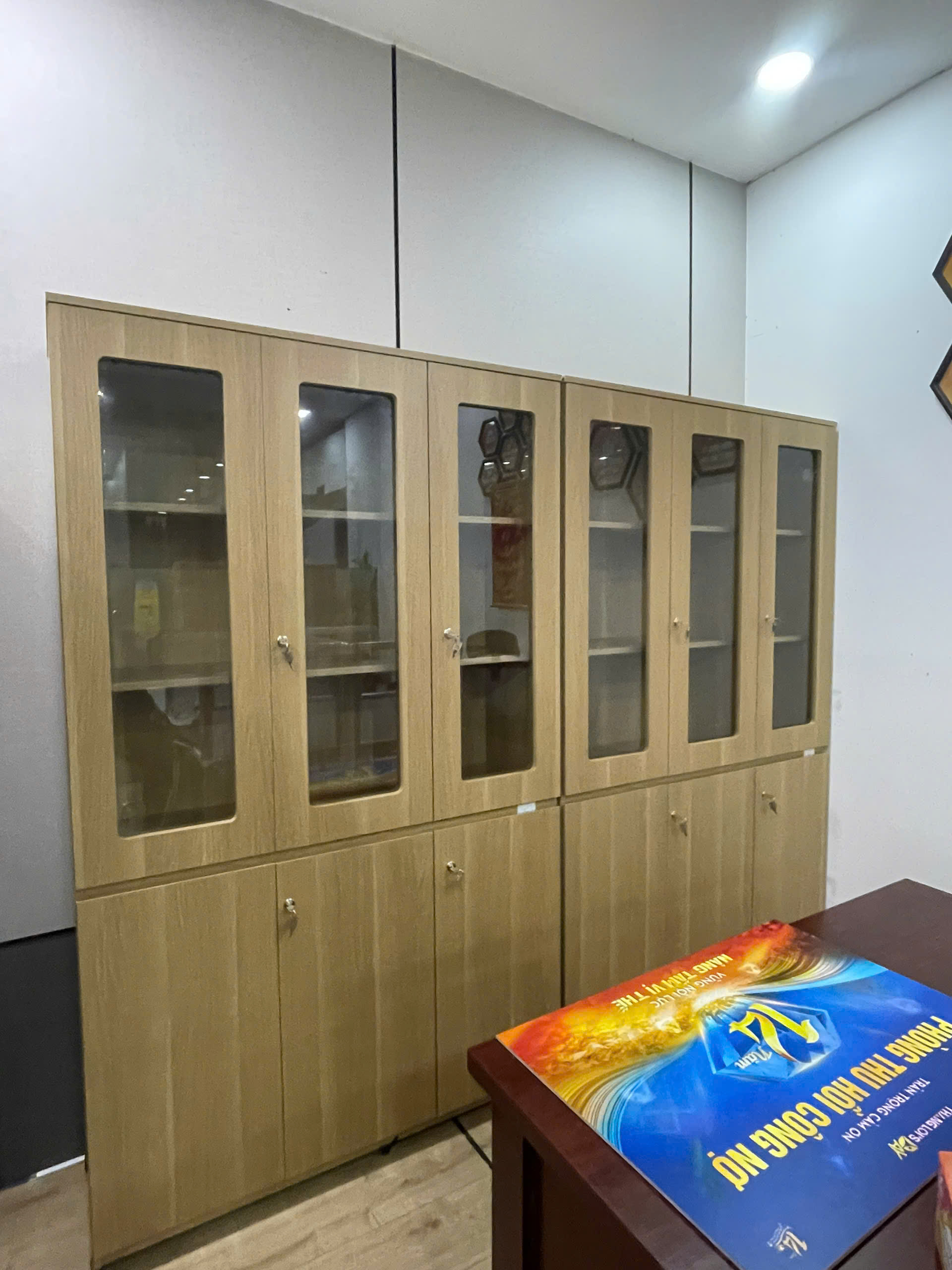 Tủ hồ sơ gỗ PT1960-3BK